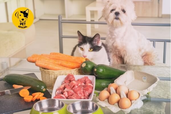 Alimentação Natural para Pets; pet; Pet Oficial - Dicas, Curiosidades e Cuidados para seu Pet; pets; Cães; gatos; dog; cat & dog; cat; 