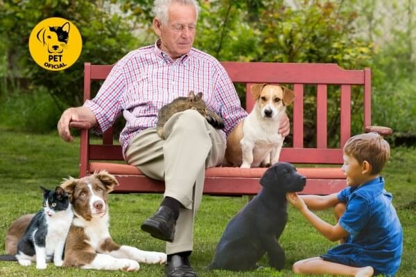 Benefícios dos pets para crianças e idosos; pet; pets; Dicas, Curiosidades e Cuidados para seu Pet. Cães, Gatos, Pássaros, Roedores, cat & dog; gatos; Cães; cat; cat & dog; dog;