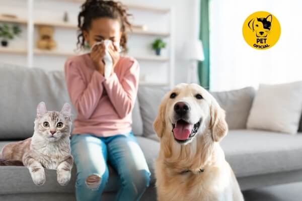 Crianças com Alergia a Pelos; pet; pets; gatos; cat; cat & dog; Cães; dog; Dicas, Curiosidades e Cuidados para seu Pet. Cães, Gatos, Pássaros, Roedores, cat & dog;