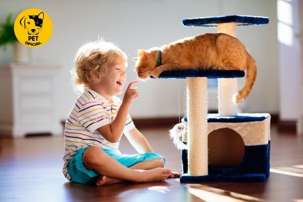 Gatos Mais Brincalhões; pet; pets; gatos; cat; cat & dog; Dicas, Curiosidades e Cuidados para seu Pet.
Cães, Gatos, Pássaros, Roedores, cat & dog; 