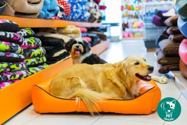 Melhor Pet Shop; pet; pets; Pet Oficial - Dicas, Curiosidades e Cuidados para seu Pet; Pet Shop; 