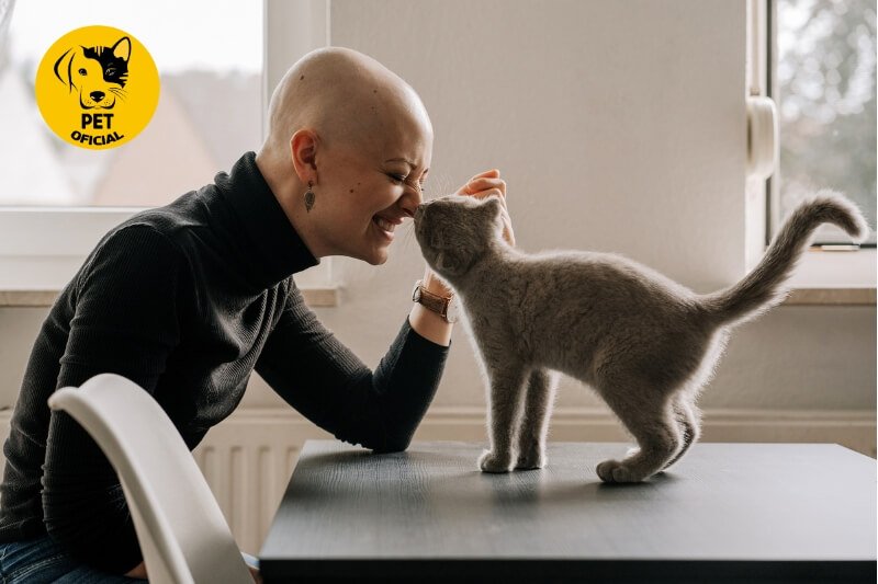 Gatos e Tutores-Como Criar uma Conexão Forte com seu Gato